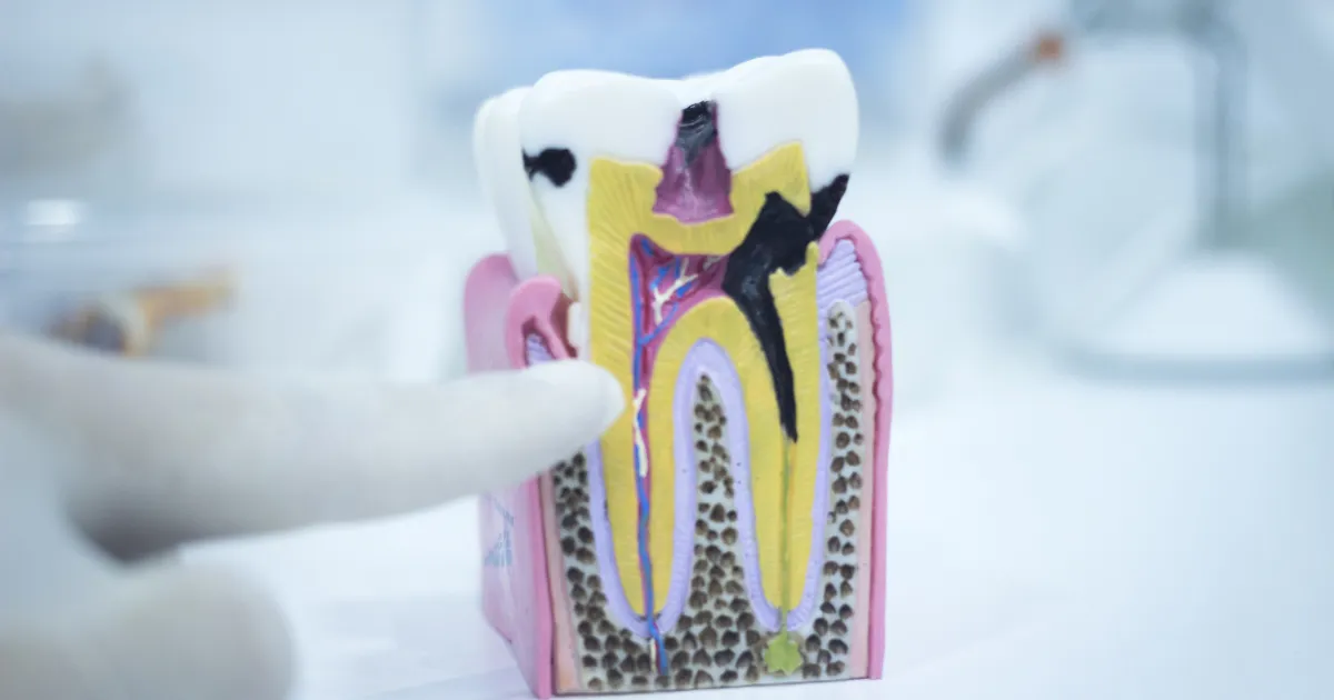 奥歯の痛みを繰り返さない！再発を防ぐ生活習慣とセルフケア3選