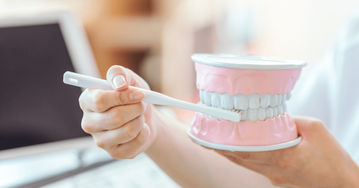 歯科模型を使って正しい歯磨き方法を説明する様子のイメージ写真