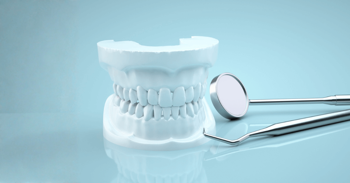 歯の模型と歯科用ミラーが並べられたイメージ写真