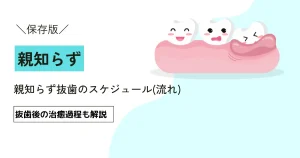 親知らず抜歯のスケジュール(流れ)｜抜歯後の治癒過程も解説