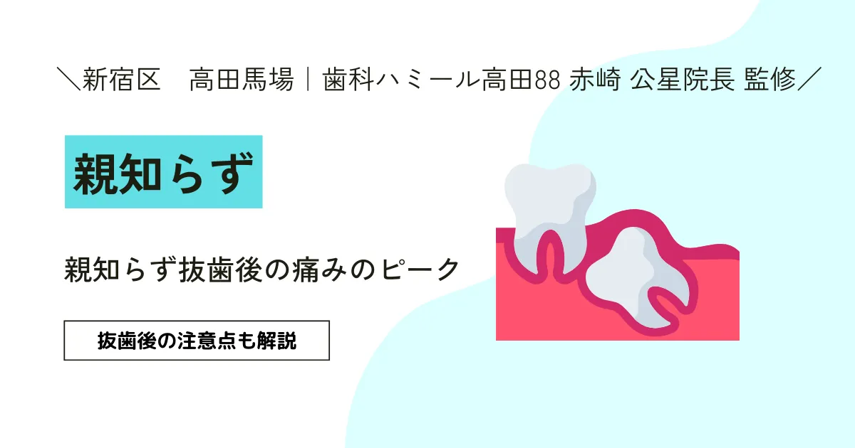 高田馬場の歯医者｜歯科ハミール高田88